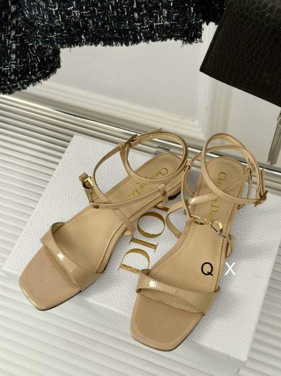 Picture of Dior Shoes _SKUDiorsz35-40JX07013308